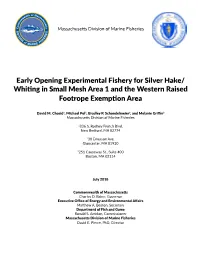 Early Opening Experimental Fishery for Silver Hake/ Whiting in Small Mesh Area 1 and the Western Raised Footrope Exemption Area