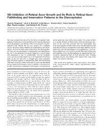 Slit Inhibition of Retinal Axon Growth and Its Role in Retinal Axon Pathﬁnding and Innervation Patterns in the Diencephalon