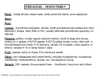 Ericaceae – Heath Family