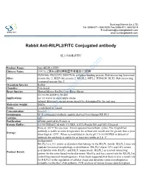 Rabbit Anti-RILPL2/FITC Conjugated Antibody-SL11944R-FITC