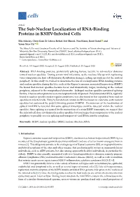 The Sub-Nuclear Localization of RNA-Binding Proteins in KSHV-Infected Cells