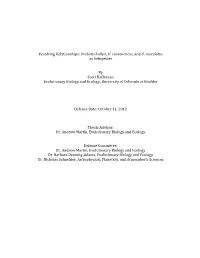 Urobatis Halleri, U. Concentricus, and U. Maculatus As Subspecies by Scot
