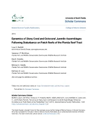 Dynamics of Stony Coral and Octocoral Juvenile Assemblages Following Disturbance on Patch Reefs of the Florida Reef Tract