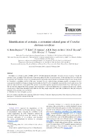 Identification of Crotasin, a Crotamine-Related Gene of Crotalus