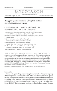 &lt;I&gt;Neozygites&lt;/I&gt; Species Associated with Aphids in Chile