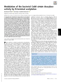 Modulation of the Bacterial Cobb Sirtuin Deacylase Activity by N-Terminal Acetylation