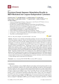 Persistent Innate Immune Stimulation Results in IRF3-Mediated but Caspase-Independent Cytostasis