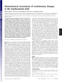 Biomechanical Assessment of Evolutionary Changes in the Lepidosaurian Skull