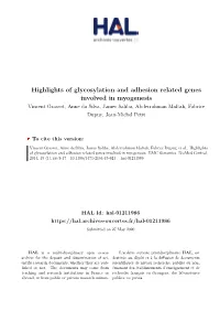 Highlights of Glycosylation and Adhesion