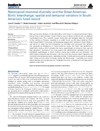Neotropical Mammal Diversity and the Great American Biotic Interchange: Spatial and Temporal Variation in South America’S Fossil Record