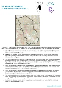 Peckham and Nunhead Community Council Profile