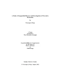 A Study of Syngnathids Diseases and Investigation