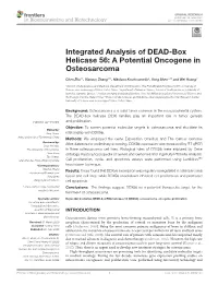 Integrated Analysis of DEAD-Box Helicase 56: a Potential Oncogene in Osteosarcoma