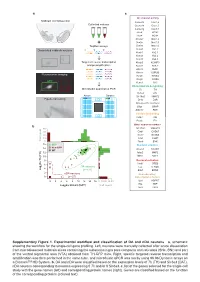A B C Supplementary Figure 1. Experimental Workflow And