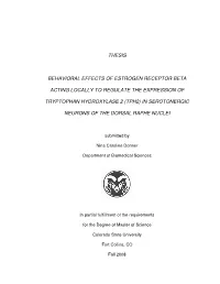 Thesis Behavioral Effects Of