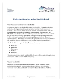 Understanding What Makes Rhomobile Tick