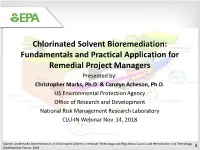 Chlorinated Solvent Bioremediation: Fundamentals and Practical Application for Remedial Project Managers Presented By: Christopher Marks, Ph.D