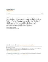 Morphological Systematics of the Nightshade Flea Beetles Epitrix