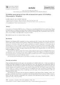 Scirtothrips Genus-Group in Iran with an Unusual New Species of Scirtothrips (Thysanoptera: Thripidae)