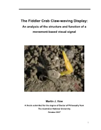 The Fiddler Crab Claw-Waving Display