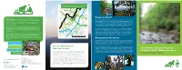 Ramsey's Draft Shenandoah Mountain Non-Native Invasive