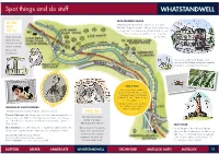 WHATSTANDWELL Spot Things and Do Stuff