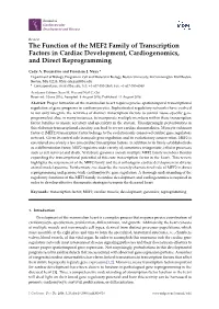 The Function of the MEF2 Family of Transcription Factors in Cardiac Development, Cardiogenomics, and Direct Reprogramming