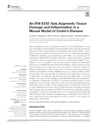 An IFN-STAT Axis Augments Tissue Damage and Inflammation in A