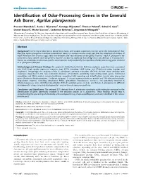 Identification of Odor-Processing Genes in the Emerald Ash Borer, Agrilus Planipennis