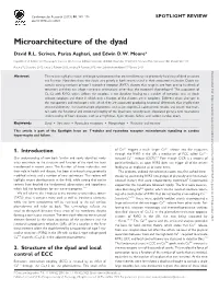 Microarchitecture of the Dyad