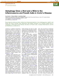 Autophagy Gives a Nod and a Wink to the Inflammasome and Paneth