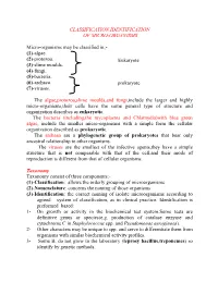CLASSIFICATION,IDENTIFICATION of MICRO-ORGANISMS Micro