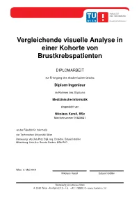 Comparative Visual Analytics in a Cohort of Breast Cancer Patients
