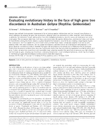 Evaluating Evolutionary History in the Face of High Gene Tree Discordance in Australian Gehyra (Reptilia: Gekkonidae)