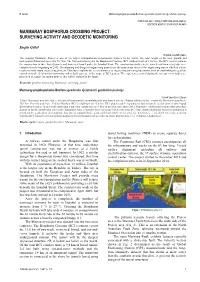 Marmaray Bosphorus Crossing Project: Surveying Activity and Geodetic Monitoring