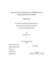 REGULATION of CELL PROLIFERATION and DIFFERENTIATION DURING DROSOPHILA NEUROGENESIS DISSERTATION Presented in Partial Fulfillmen