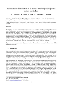 Sonic Metamaterials: Reflection on the Role of Topology on Dispersion Surface Morphology