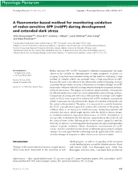 Based Method for Monitoring Oxidation of Redox?Sensitive GFP (Rogfp)