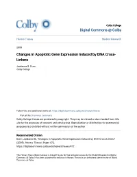 Changes in Apoptotic Gene Expression Induced by DNA Cross- Linkers