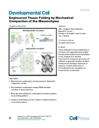 Engineered Tissue Folding by Mechanical Compaction of the Mesenchyme