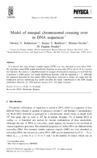 Model of Unequal Chromosomal Crossing Over in DNA Sequences1
