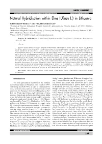 Natural Hybridisation Within Elms (Ulmus L.) in Lithuania R