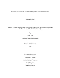 Pioneering Soil Viromics to Elucidate Viral Impacts on Soil Ecosystem Services