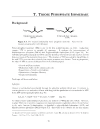 T. TRIOSE PHOSPHATE ISOMERASE Background