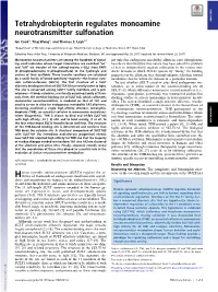 Tetrahydrobiopterin Regulates Monoamine Neurotransmitter