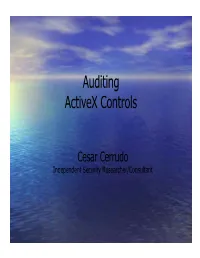 Auditing Activex Controls