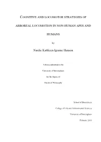 Cognitive and Locomotor Strategies of Arboreal