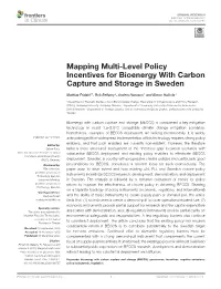 Mapping Multi-Level Policy Incentives for Bioenergy with Carbon Capture and Storage in Sweden