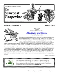 Suncoast Grapevine