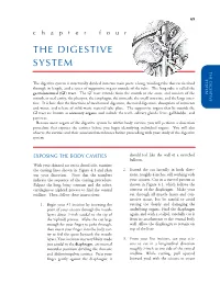 The Digestive System